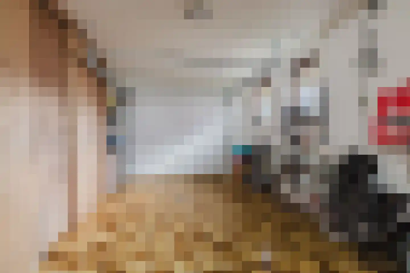 Het Steke 4 Rijsbergen thumbnail 42