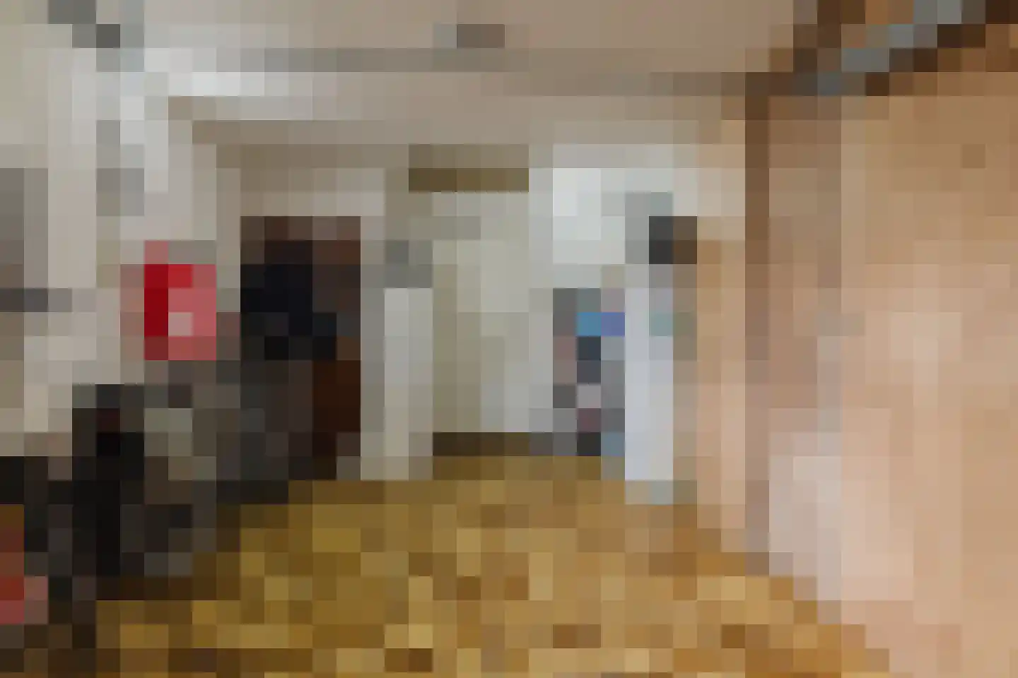 Het Steke 4 Rijsbergen thumbnail 43