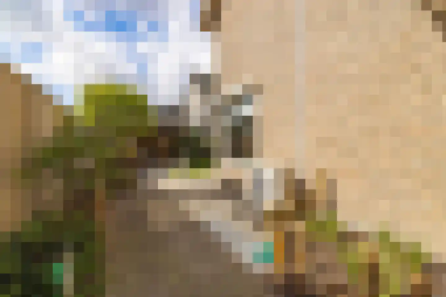 Het Steke 4 Rijsbergen thumbnail 44