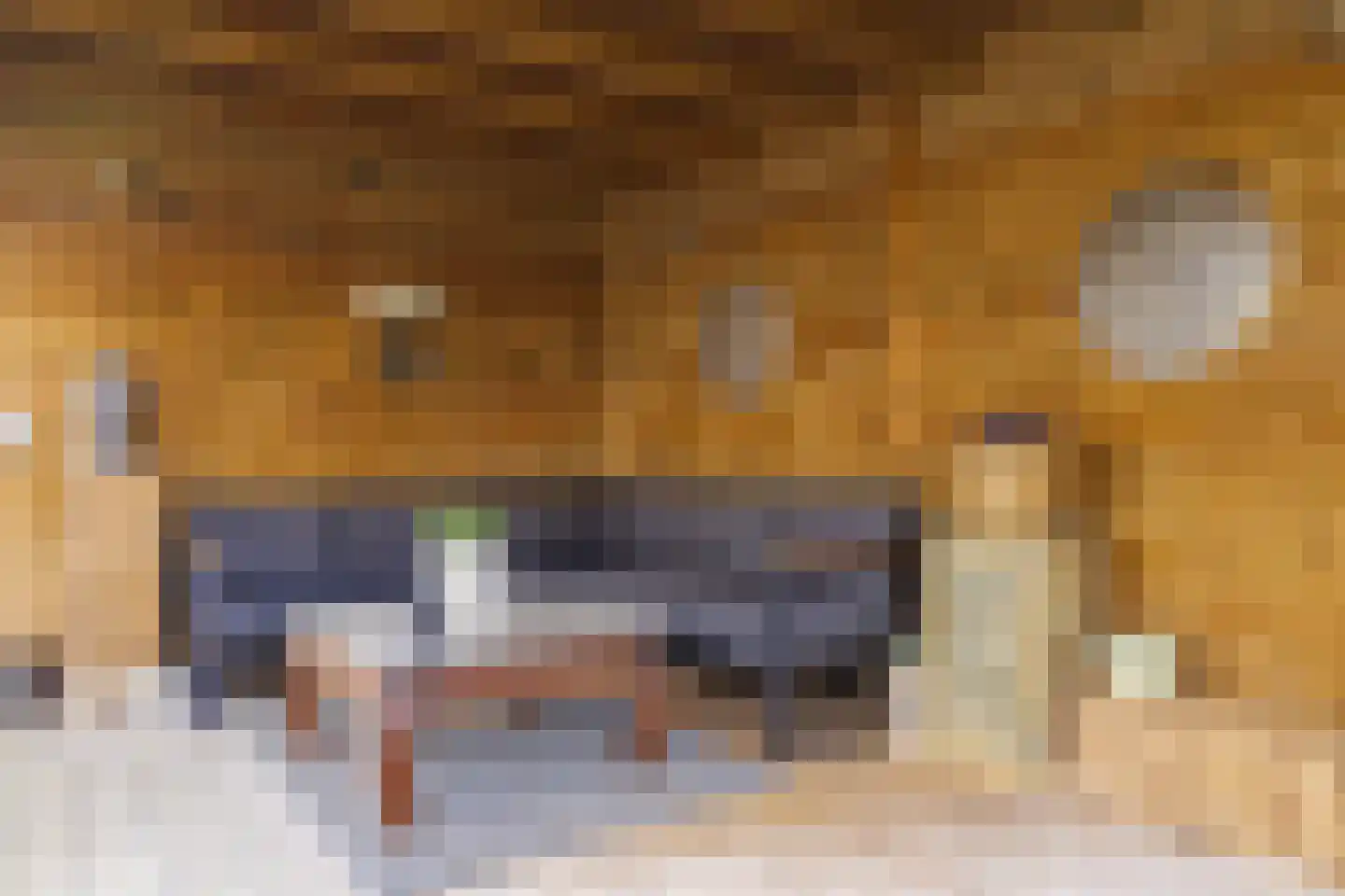 Het Steke 4 Rijsbergen thumbnail 50