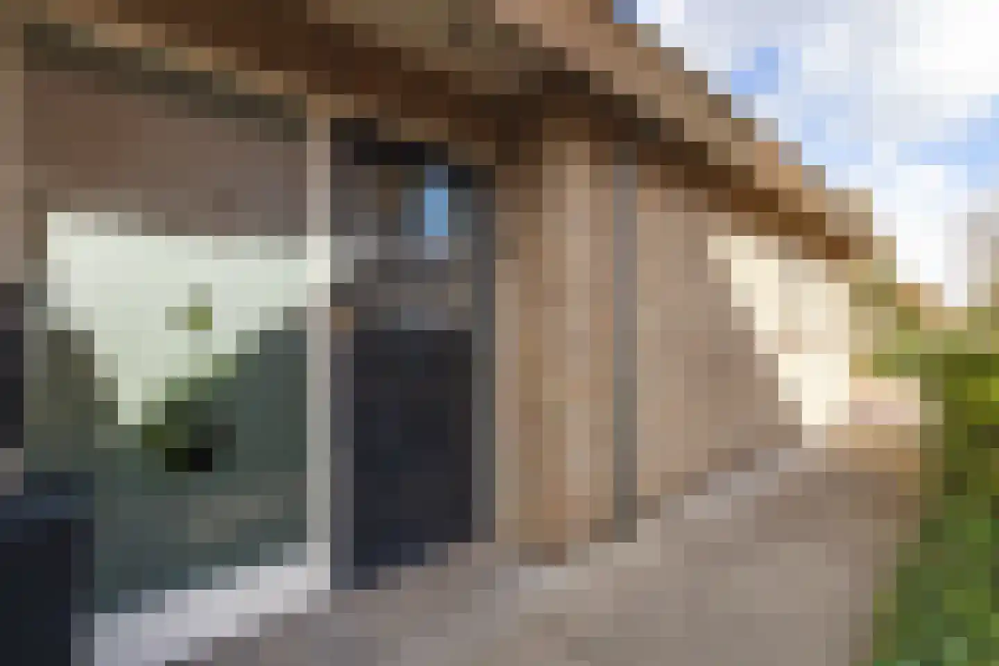 Het Steke 4 Rijsbergen thumbnail 8