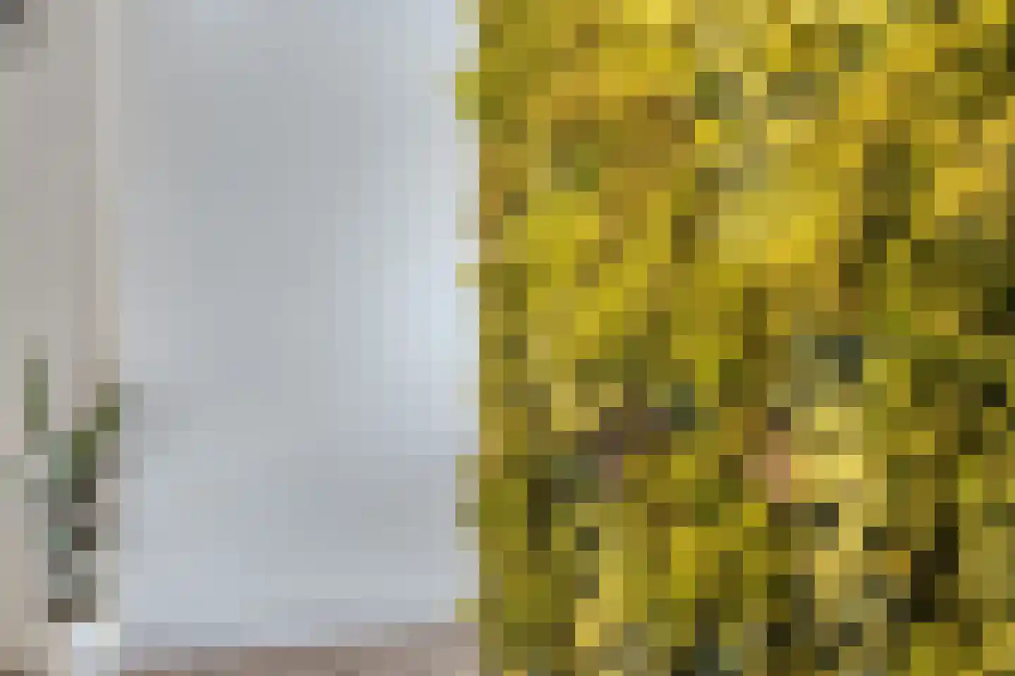 Het Stenen Muurtje 10 Eijsden thumbnail 11