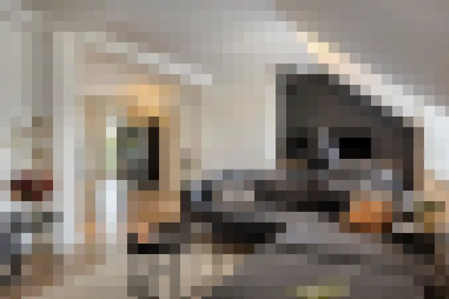Het Stenen Muurtje 10 Eijsden thumbnail 21