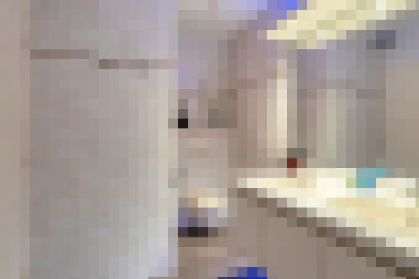 Het Stenen Muurtje 10 Eijsden thumbnail 26