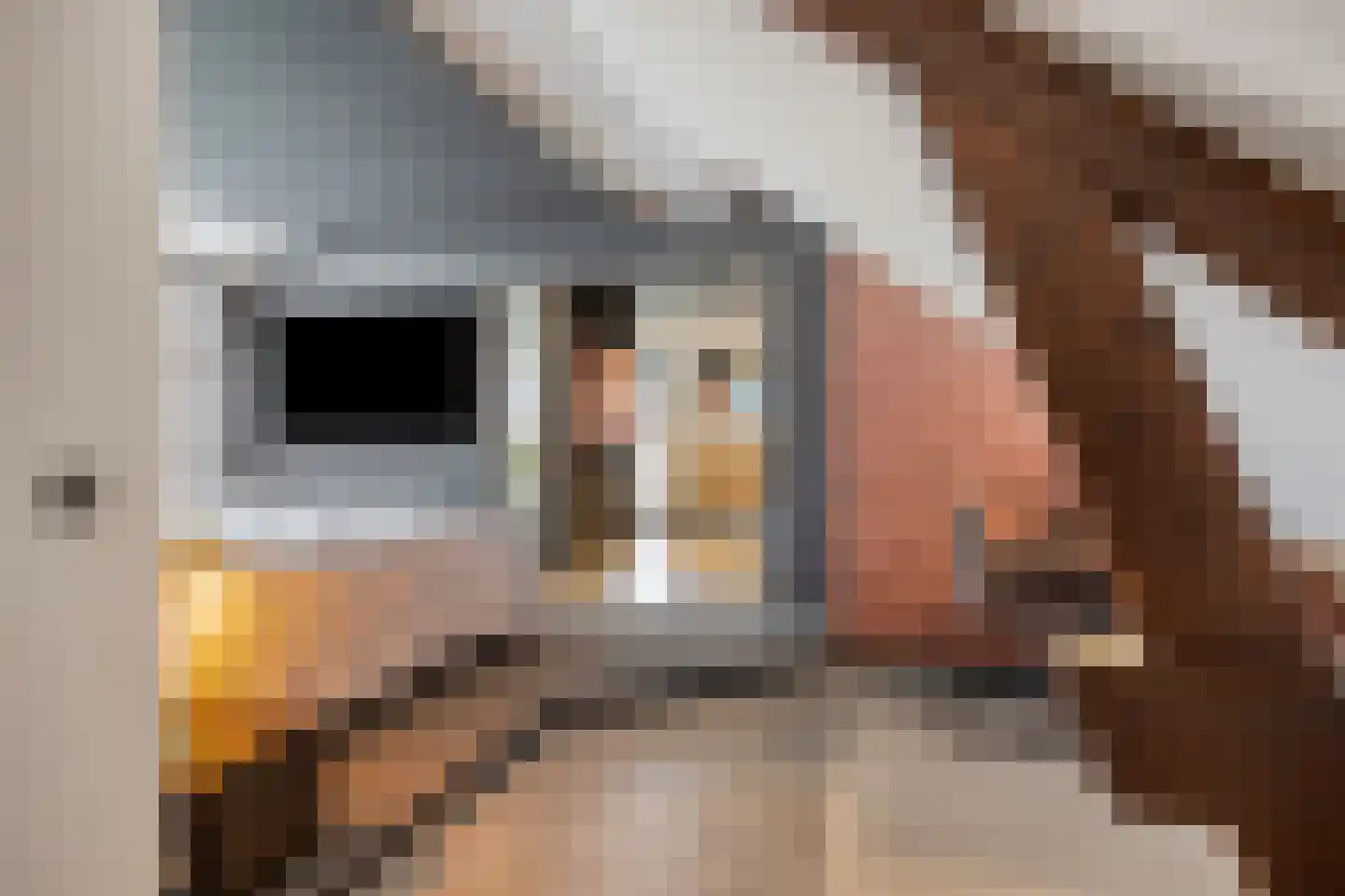 Het Stenen Muurtje 10 Eijsden thumbnail 30