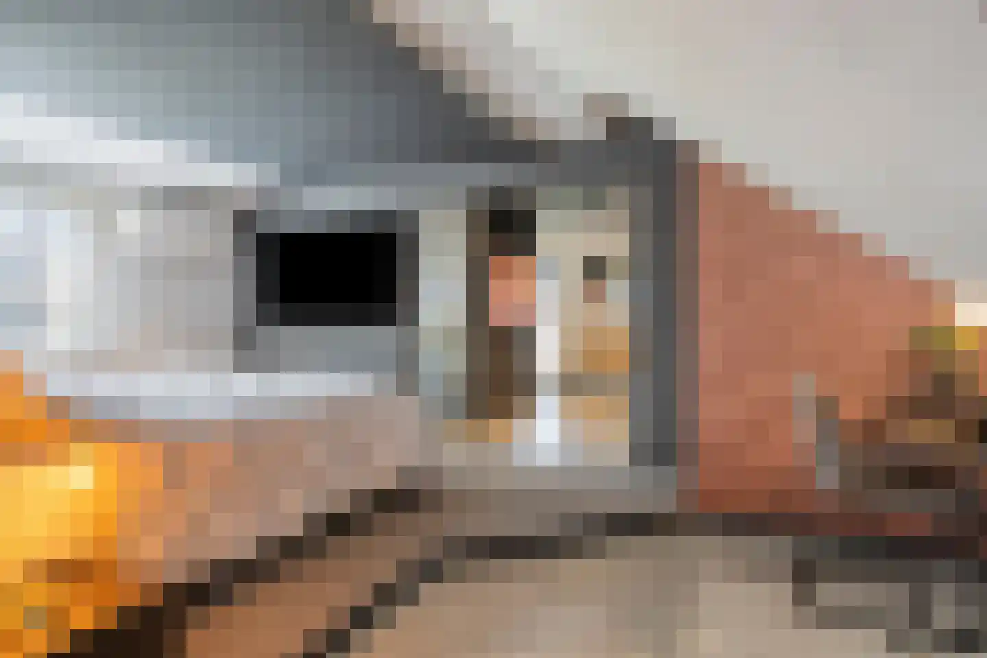 Het Stenen Muurtje 10 Eijsden thumbnail 31