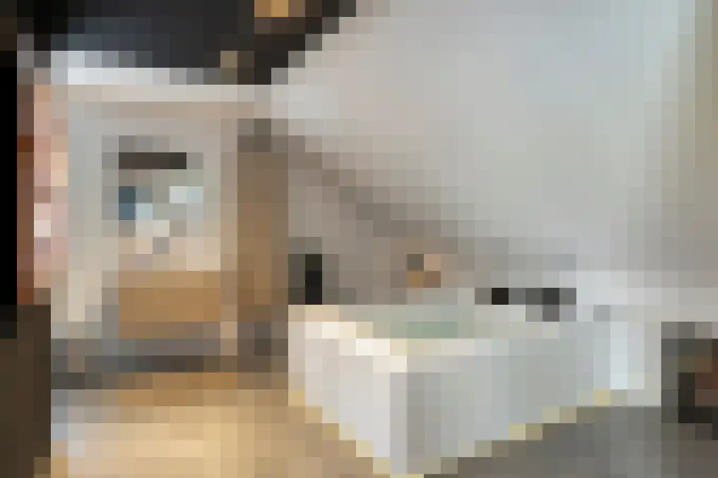 Het Stenen Muurtje 10 Eijsden thumbnail 34