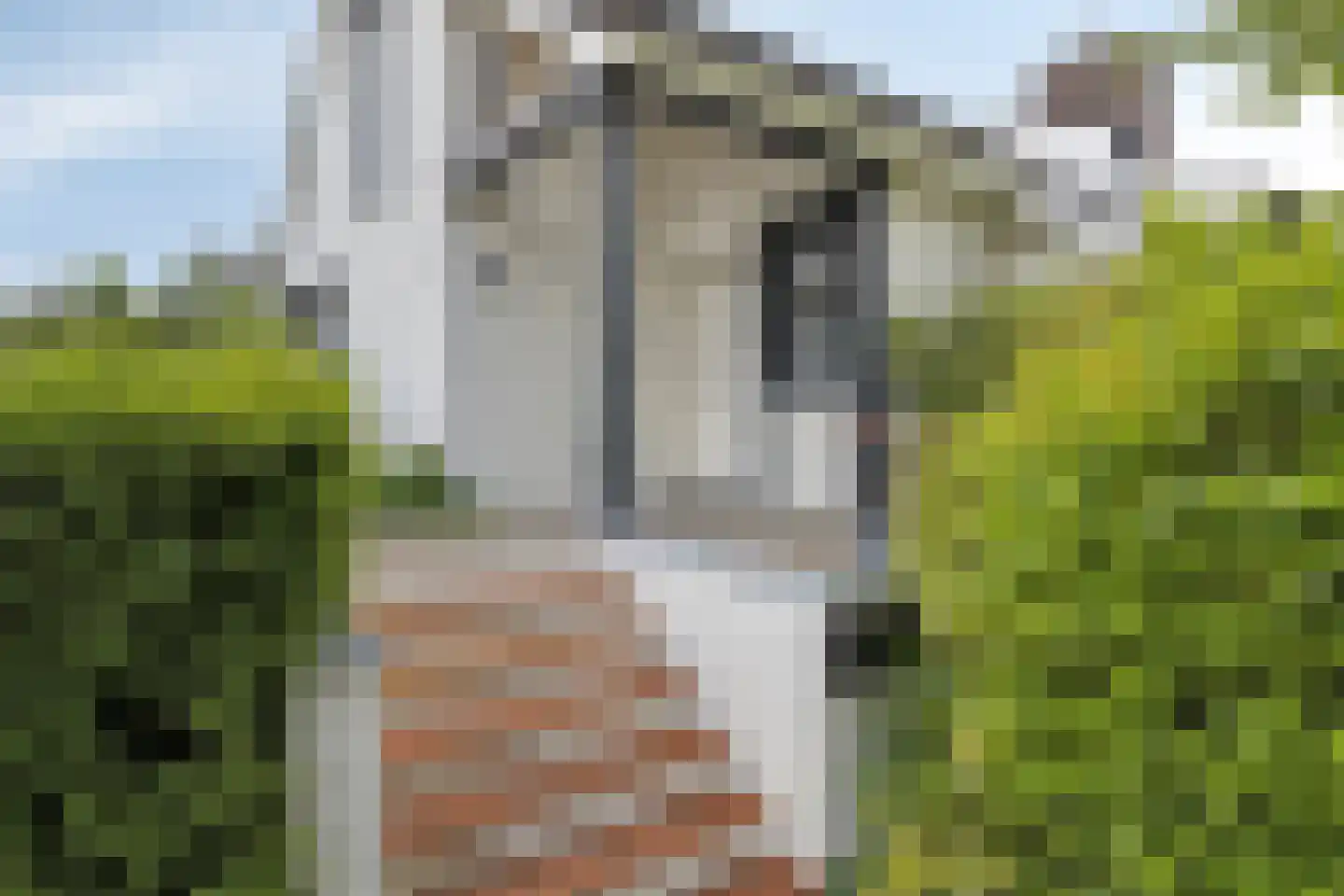 Het Stenen Muurtje 10 Eijsden thumbnail 4