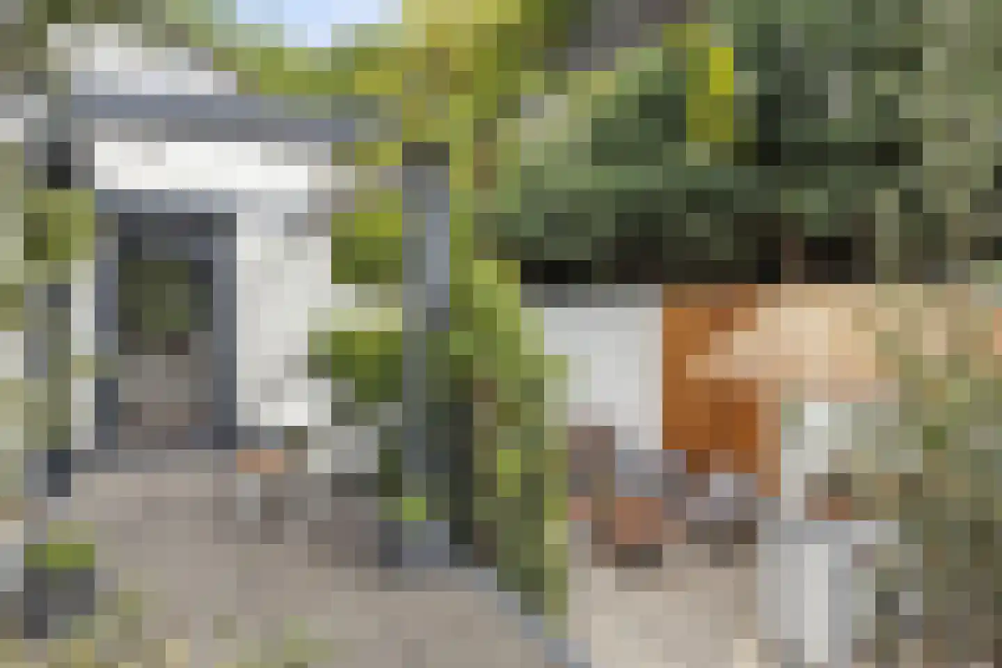 Het Stenen Muurtje 10 Eijsden thumbnail 51
