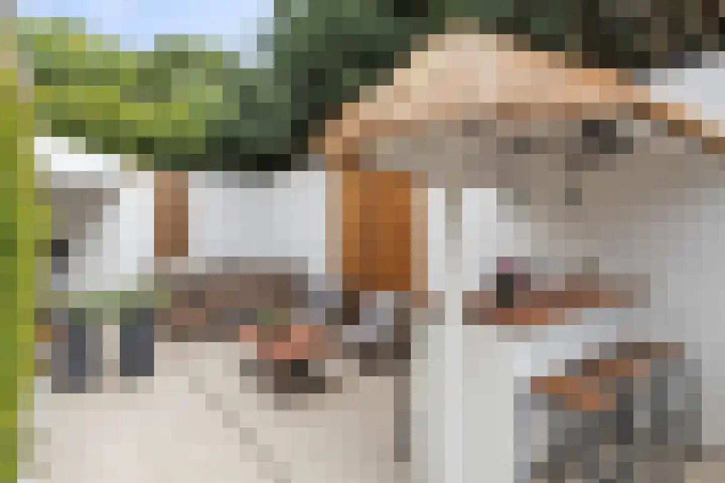 Het Stenen Muurtje 10 Eijsden thumbnail 54