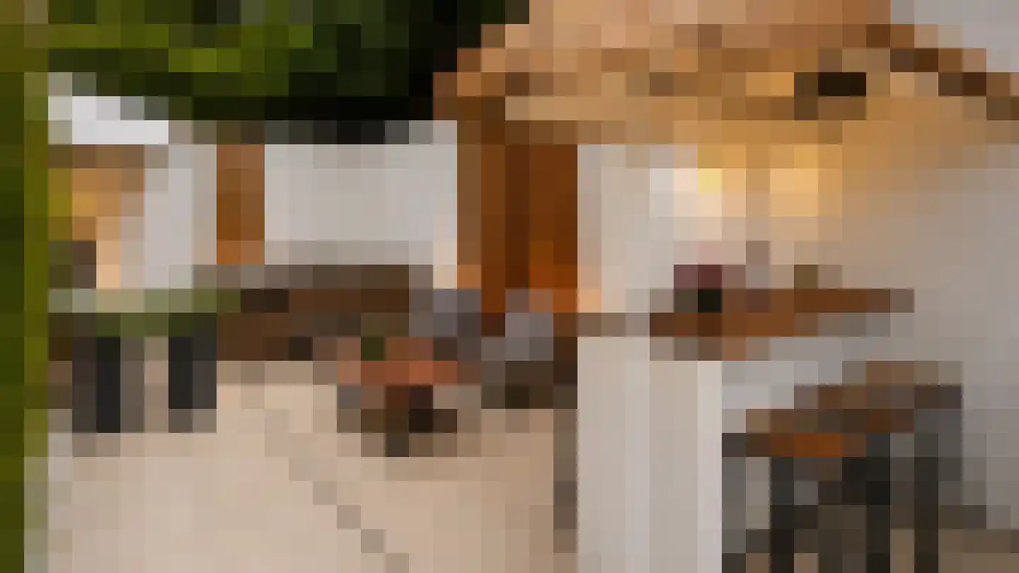 Het Stenen Muurtje 10 Eijsden thumbnail 55