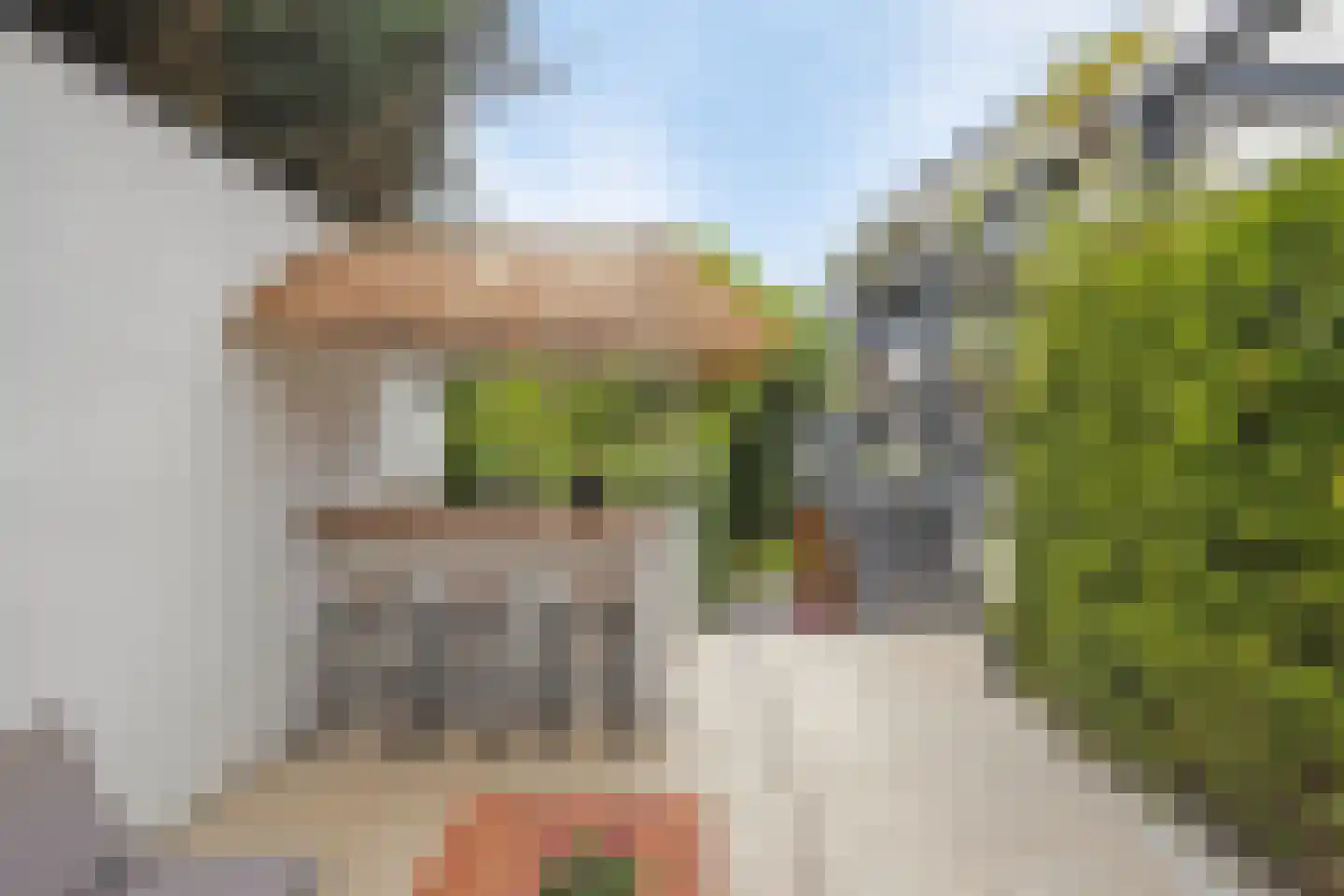 Het Stenen Muurtje 10 Eijsden thumbnail 60