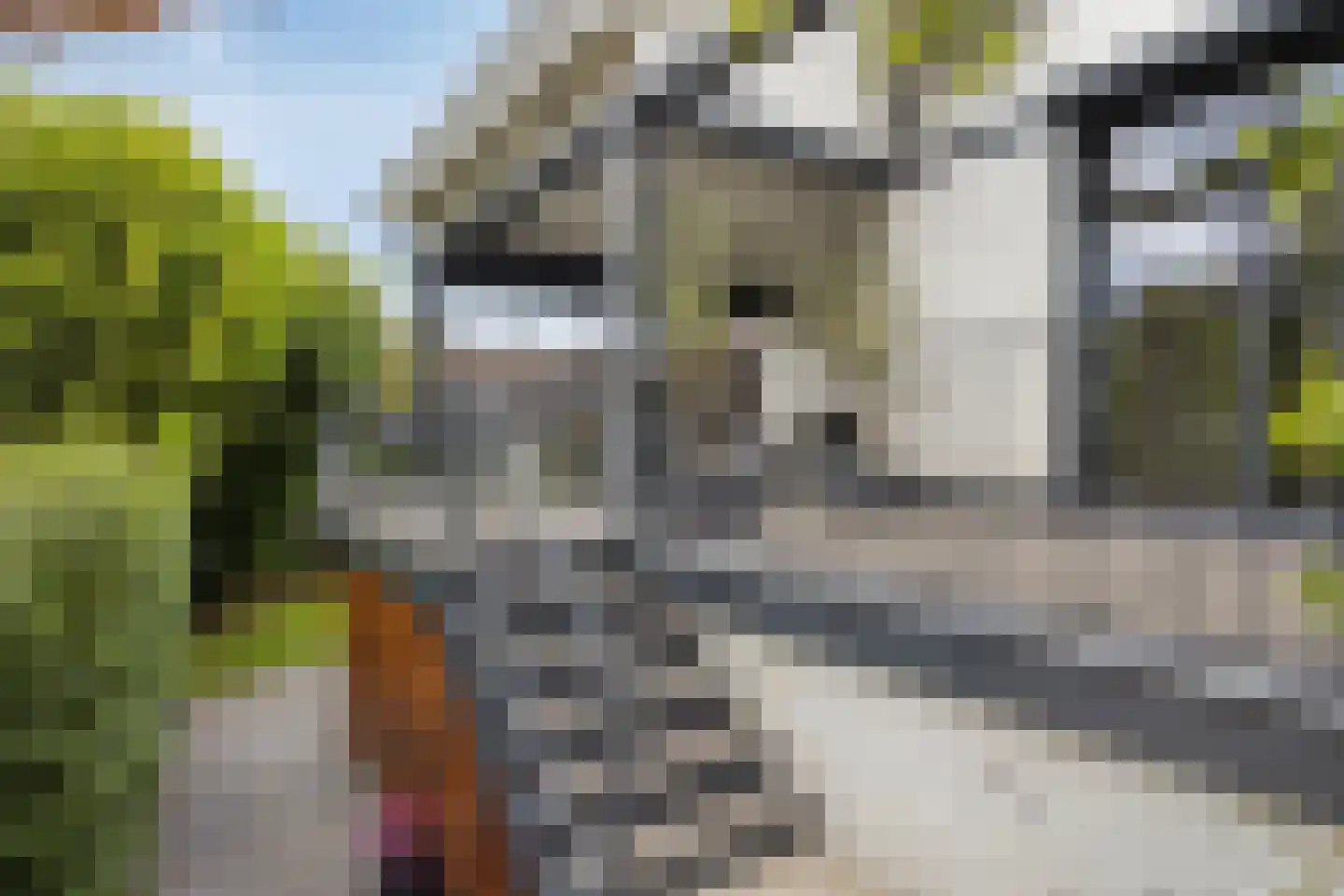 Het Stenen Muurtje 10 Eijsden thumbnail 61
