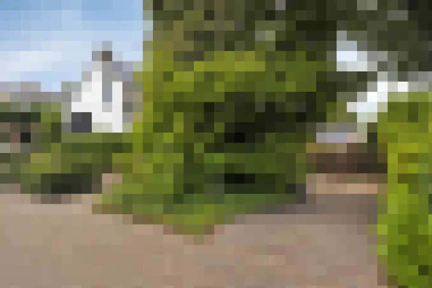 Het Stenen Muurtje 10 Eijsden thumbnail 67