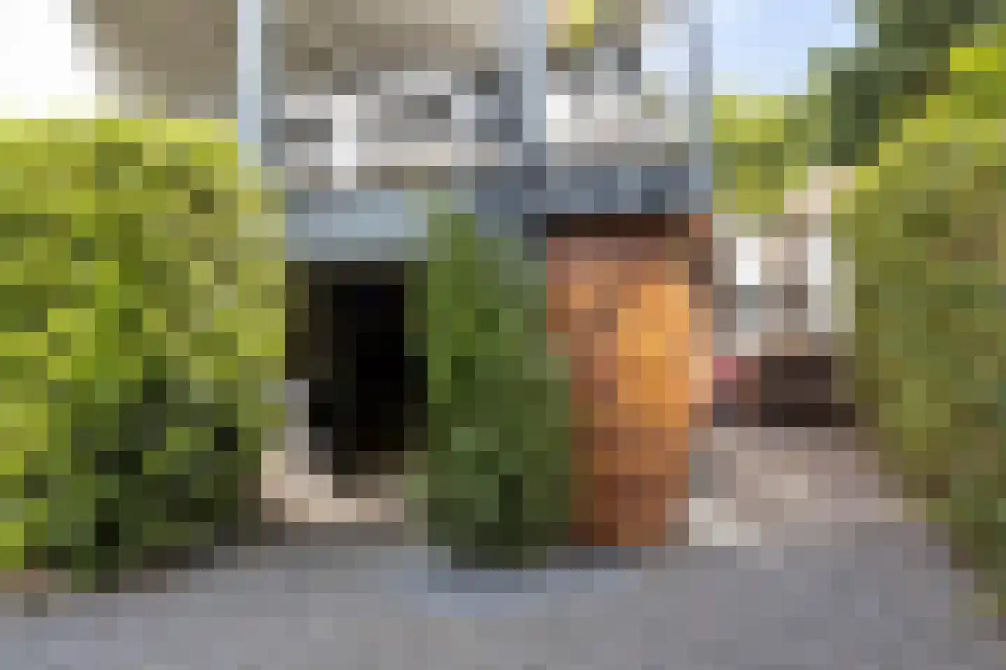 Het Stenen Muurtje 10 Eijsden thumbnail 71