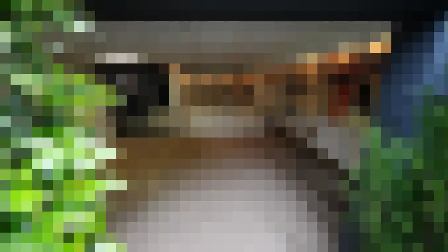 Het Stenen Muurtje 10 Eijsden thumbnail 73