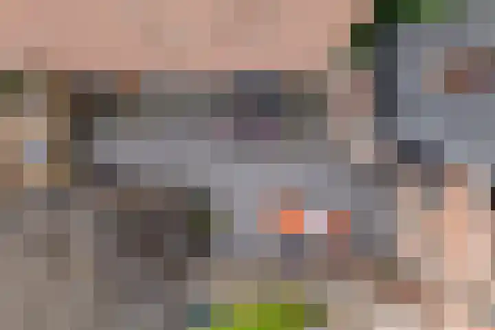 Het Sticht 85 Assen thumbnail 39