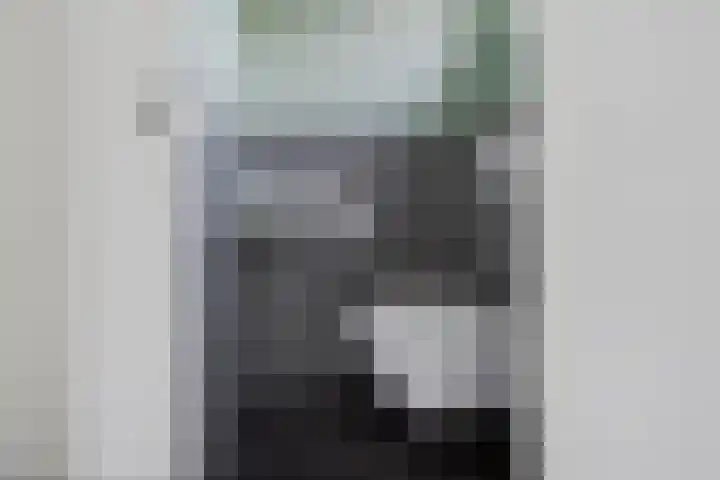 Het Sticht 85 Assen thumbnail 5