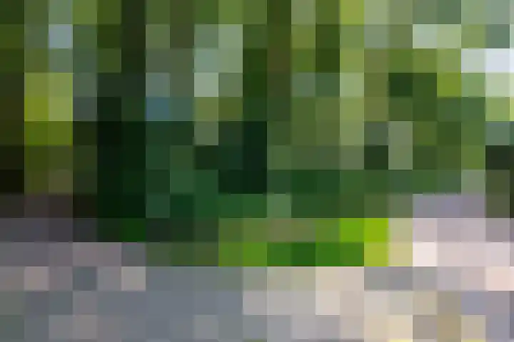 Het Sticht 92 Assen thumbnail 38