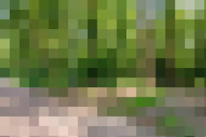 Het Sticht 92 Assen thumbnail 39