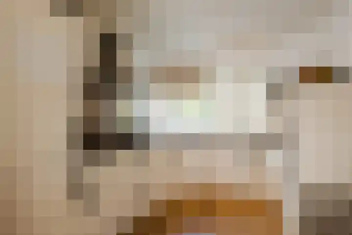 Het Sticht 92 Assen thumbnail 8