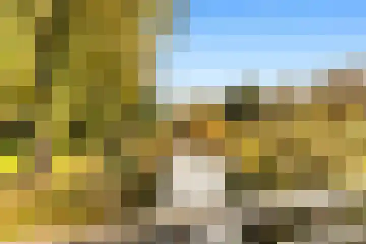 Het Strengh 17 Castricum thumbnail 29