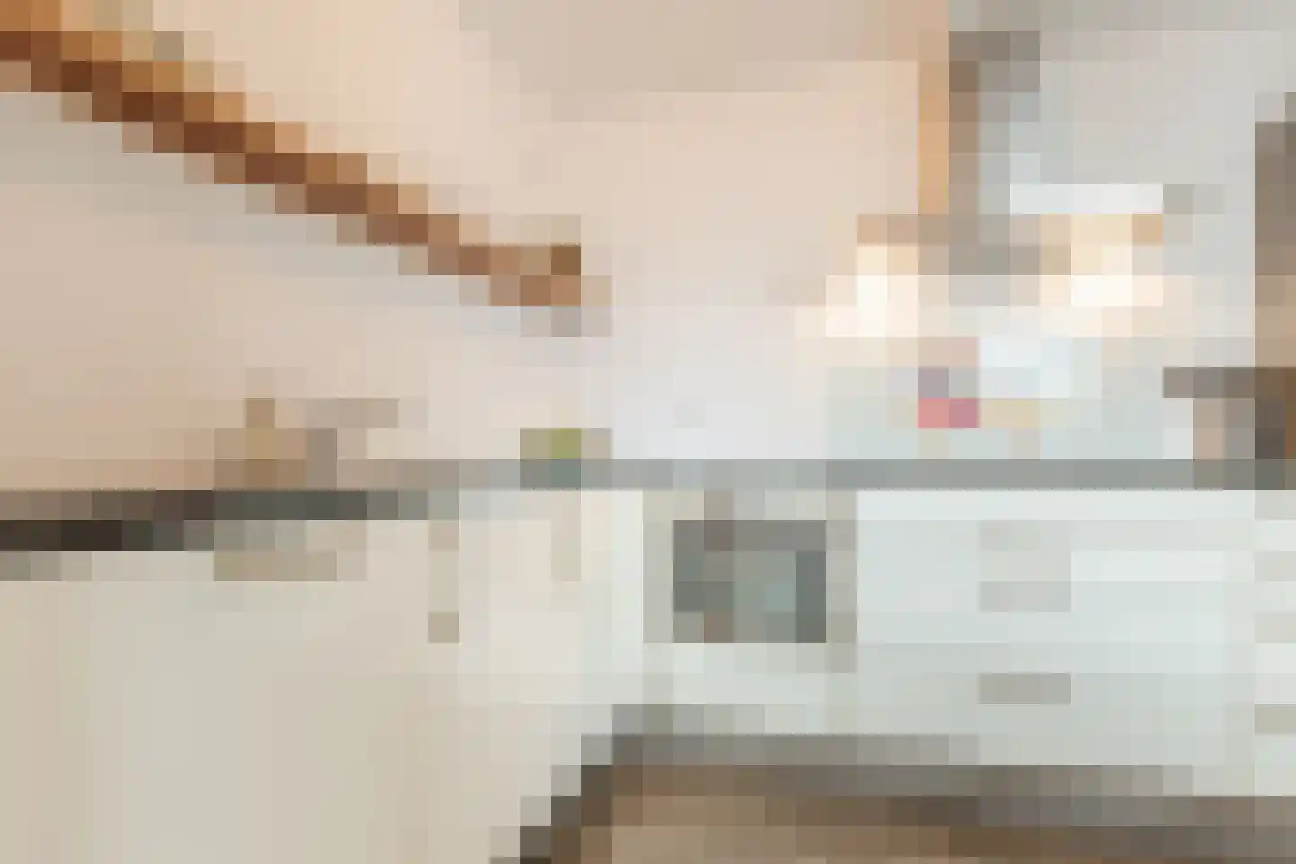 het Stroo 12 Vorden thumbnail 12