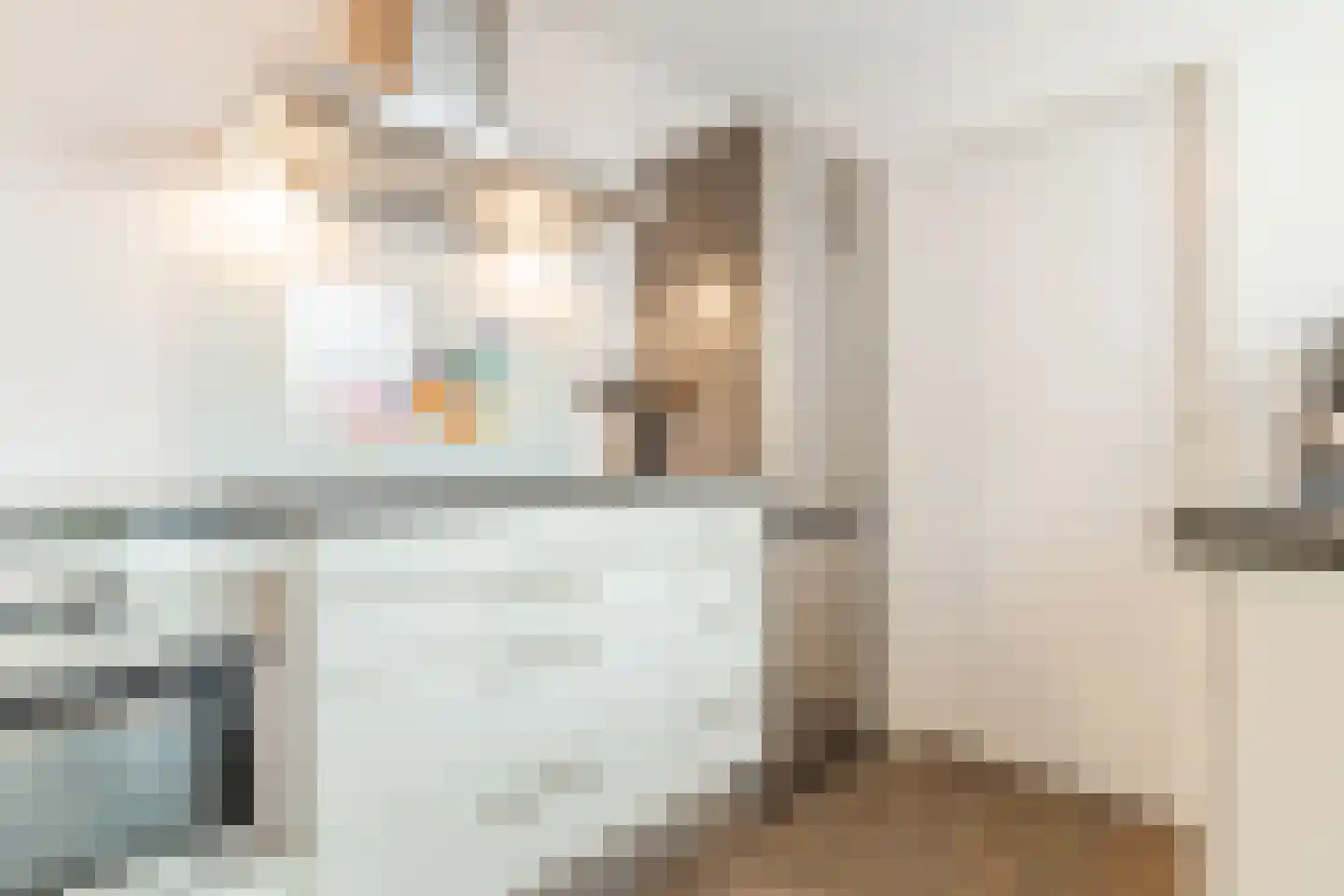 het Stroo 12 Vorden thumbnail 13