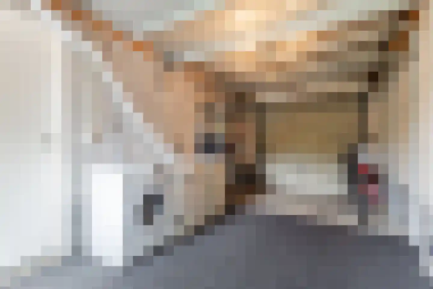het Stroo 12 Vorden thumbnail 28