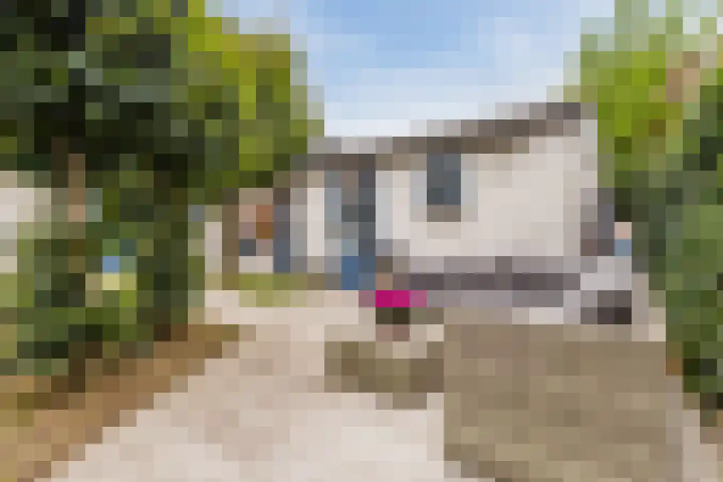 het Stroo 12 Vorden thumbnail 32