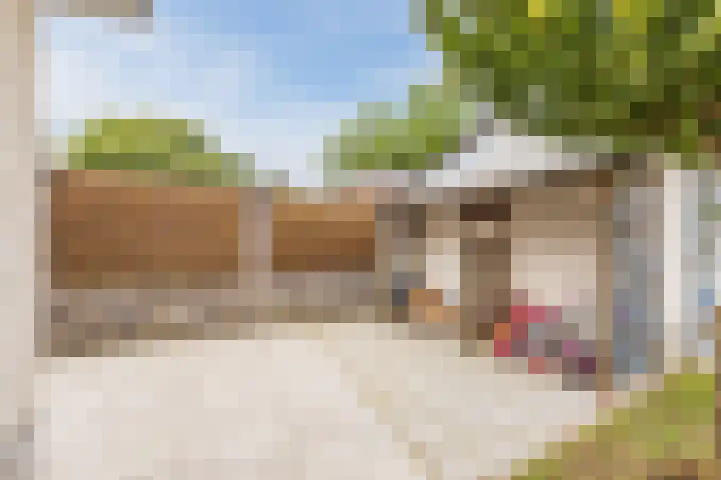 het Stroo 12 Vorden thumbnail 34