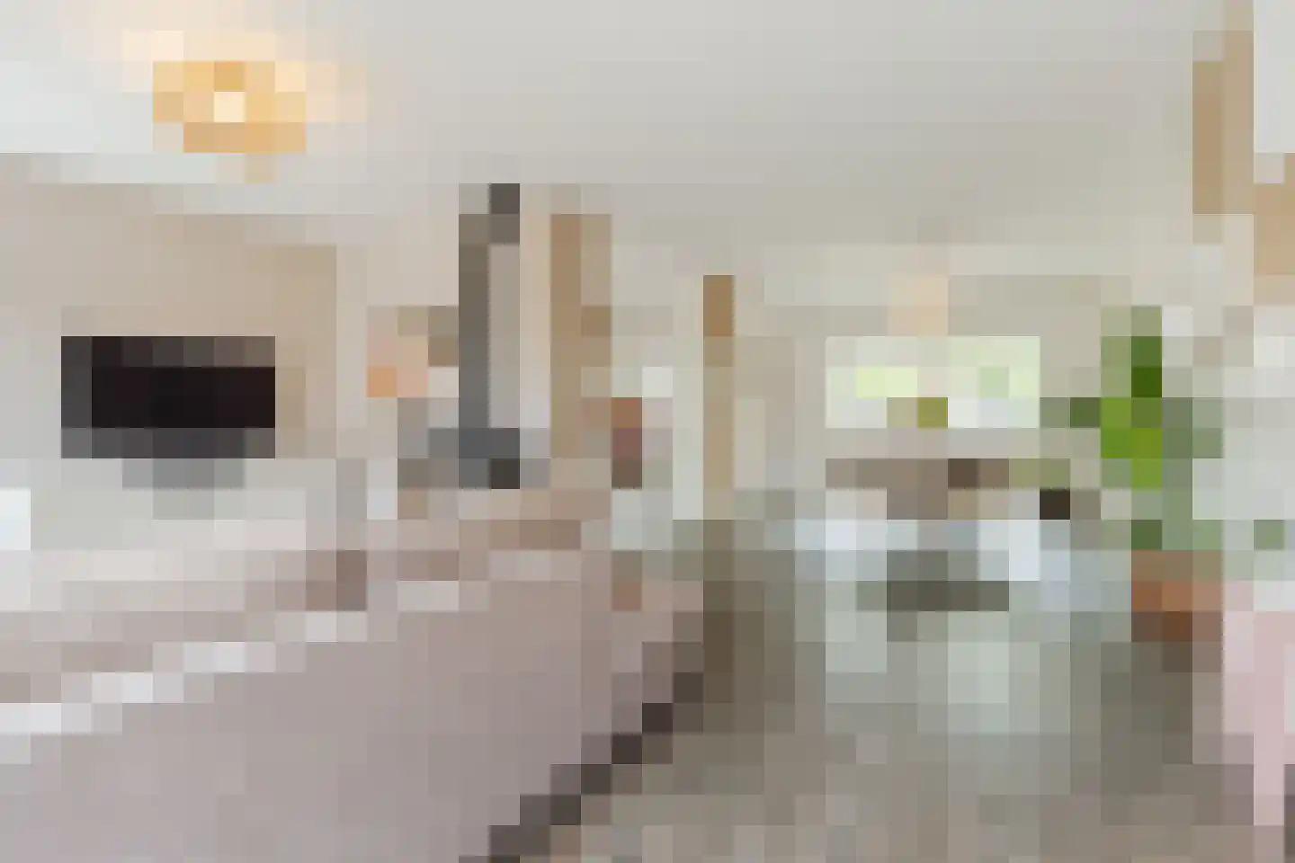 het Stroo 12 Vorden thumbnail 5