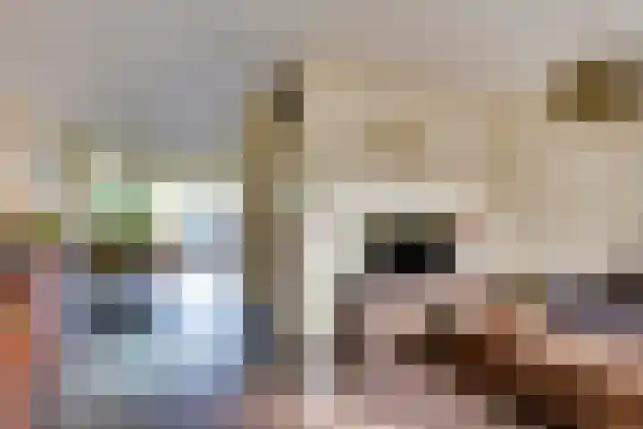 Het Struweel 11 Veldhoven thumbnail 5