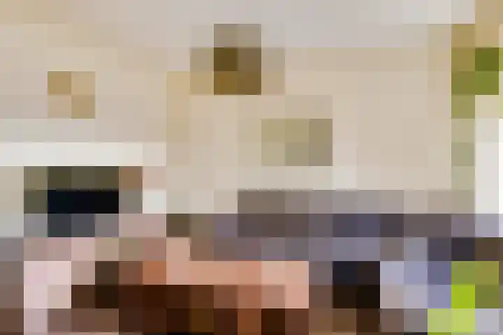Het Struweel 11 Veldhoven thumbnail 6