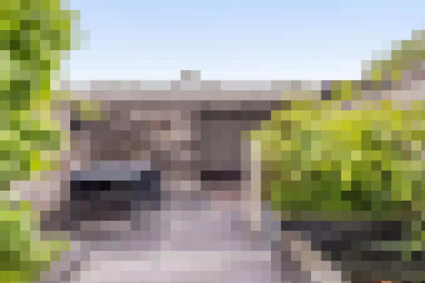 Het Struweel 37 Veldhoven thumbnail 42