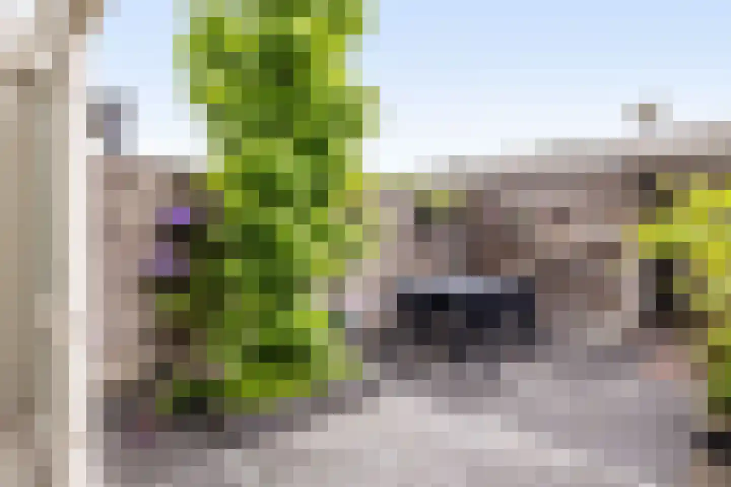 Het Struweel 37 Veldhoven thumbnail 43