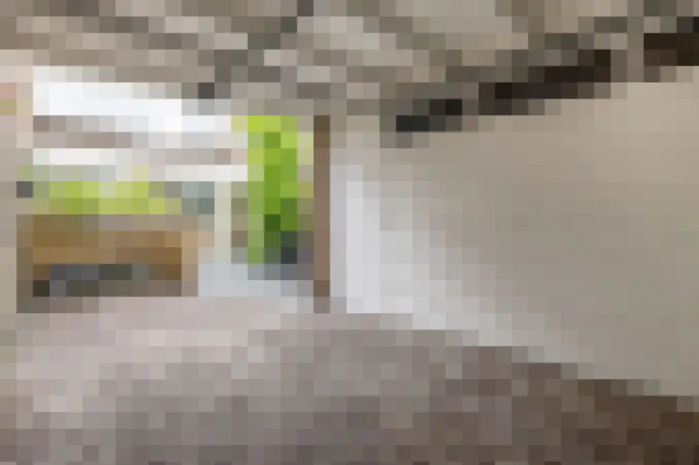 Het Struweel 37 Veldhoven thumbnail 45