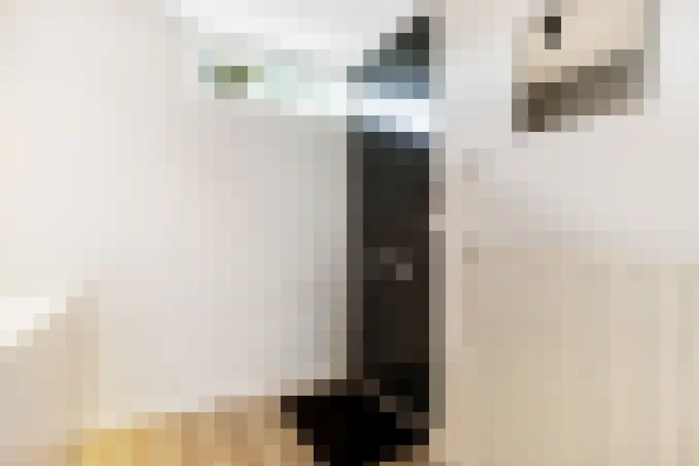 Het Struweel 37 Veldhoven thumbnail 6
