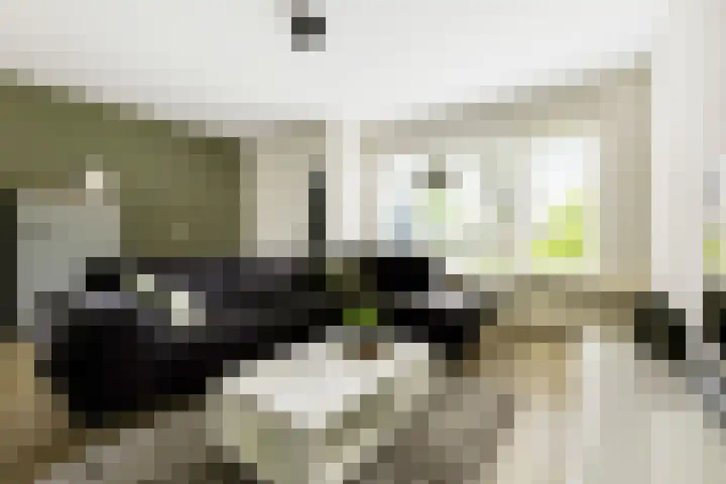 Het Struweel 37 Veldhoven thumbnail 8
