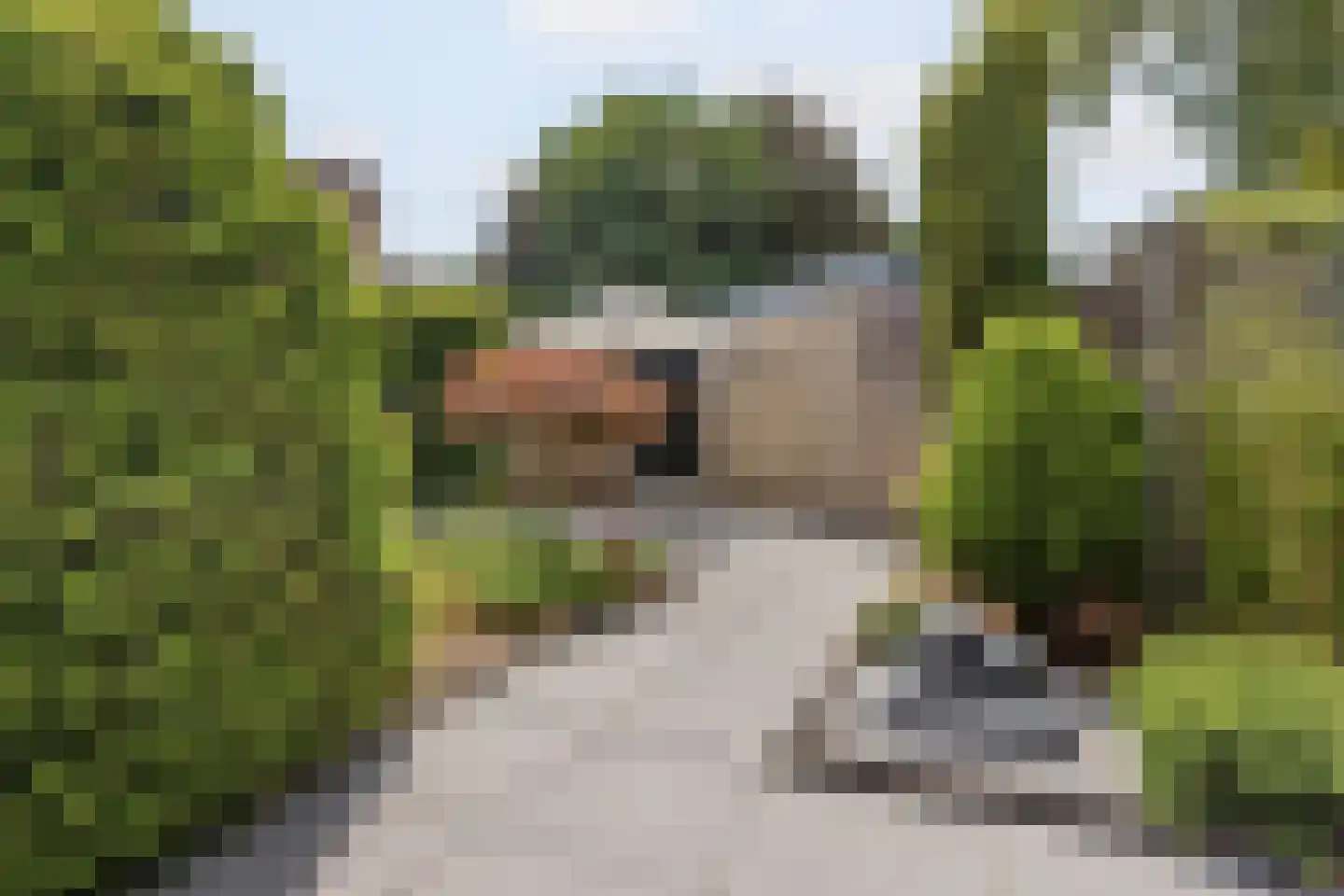 Het Struweel 44 Veldhoven thumbnail 30
