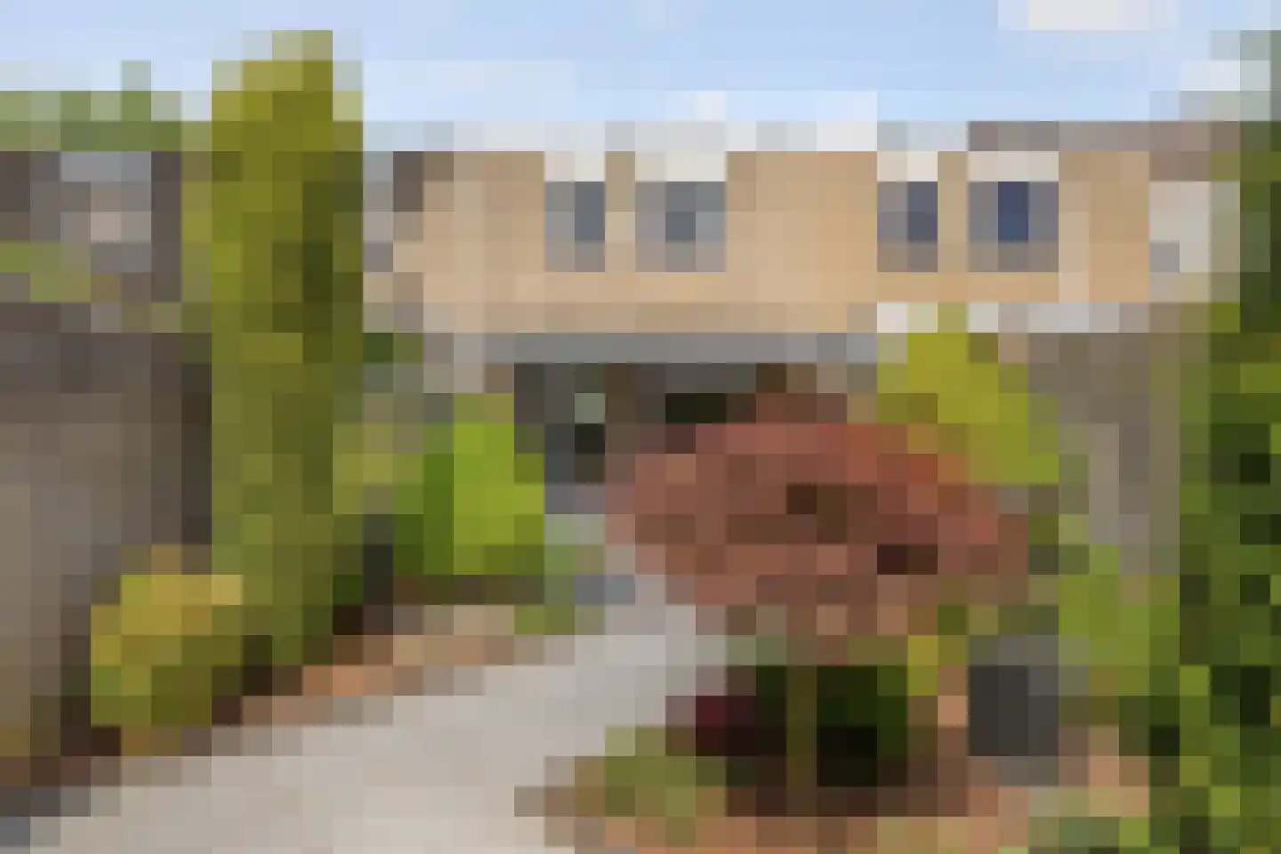Het Struweel 44 Veldhoven thumbnail 33