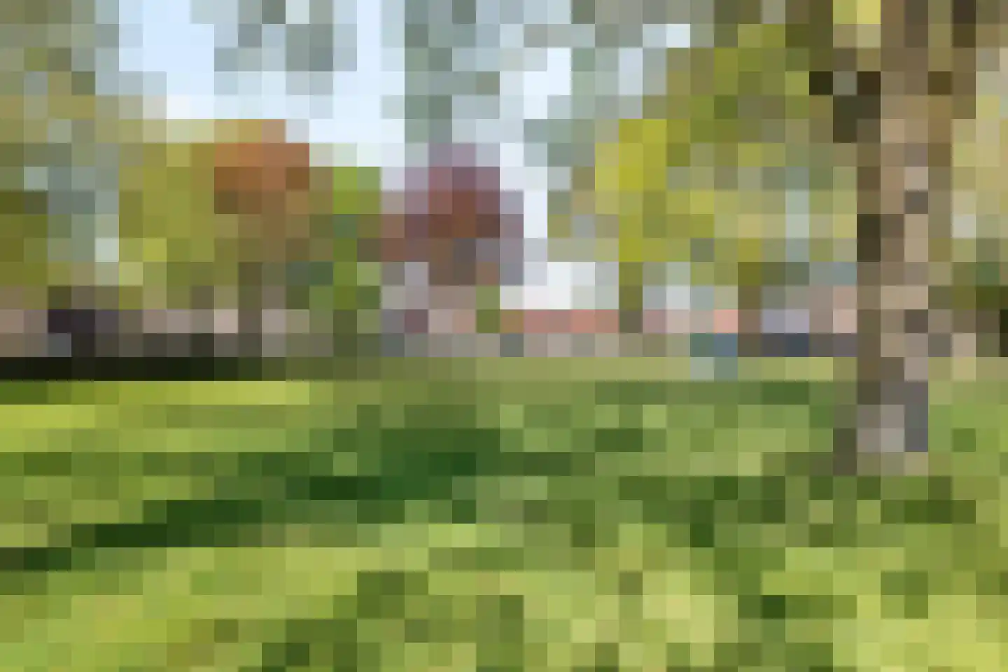 Het Struweel 44 Veldhoven thumbnail 52