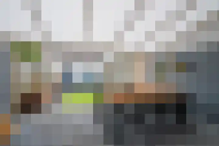 Het Struweel 48 Veldhoven thumbnail 30