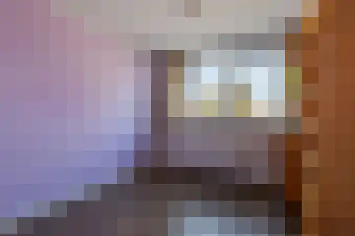 Het Struweel 48 Veldhoven thumbnail 43