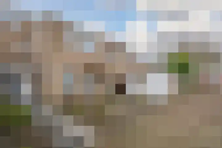 Het Struweel 48 Veldhoven thumbnail 53