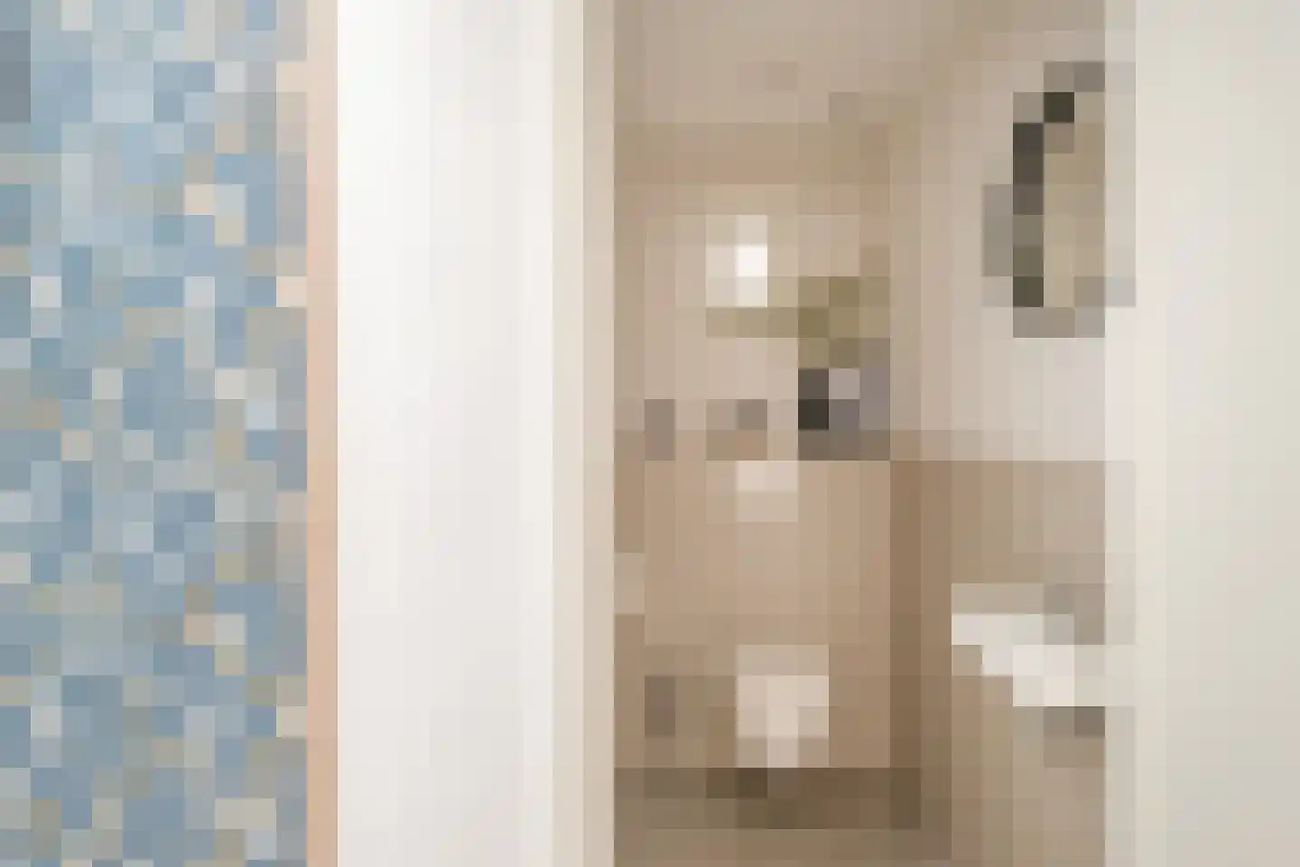 het Swennink 3 Losser thumbnail 11