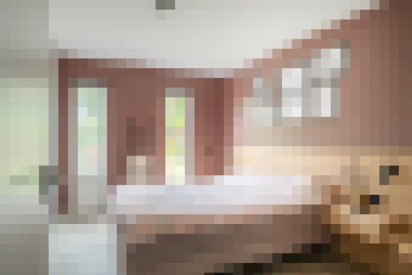 het Swennink 3 Losser thumbnail 20