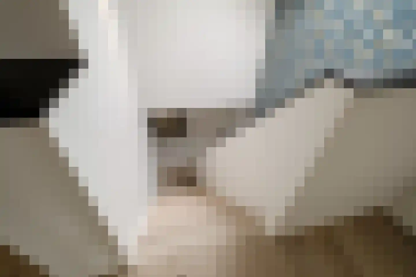 het Swennink 3 Losser thumbnail 24