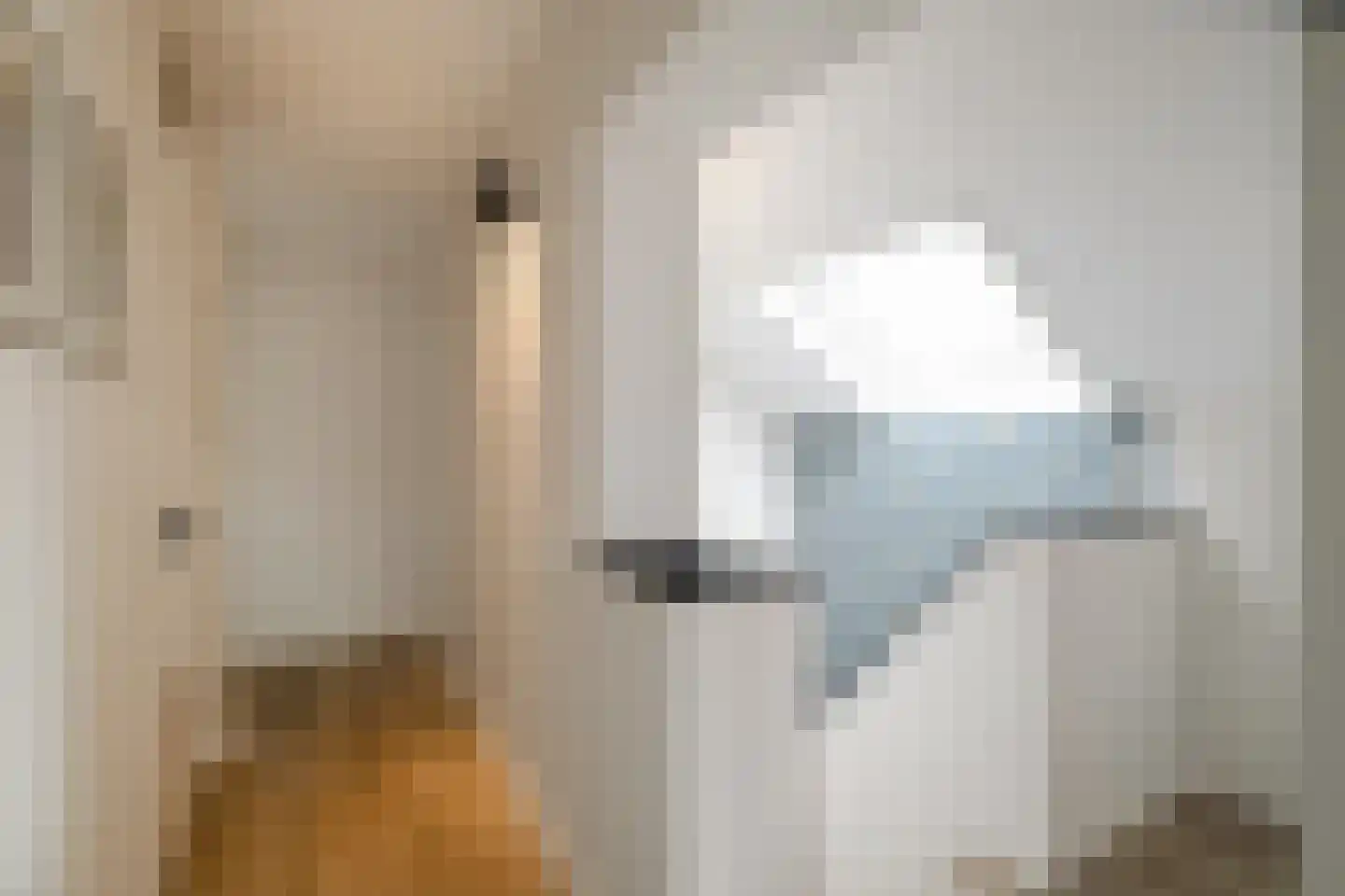 het Swennink 3 Losser thumbnail 25