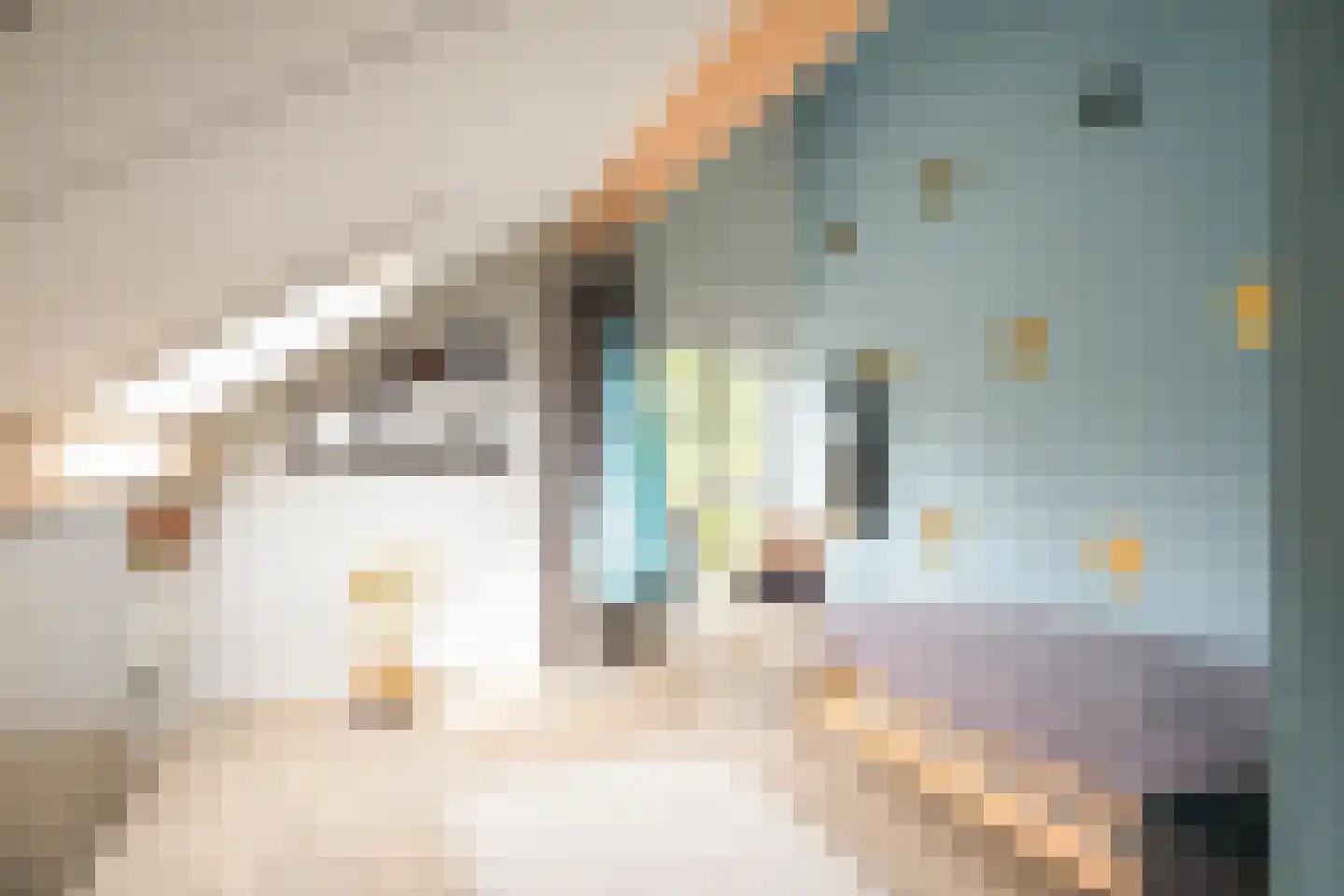 het Swennink 3 Losser thumbnail 28